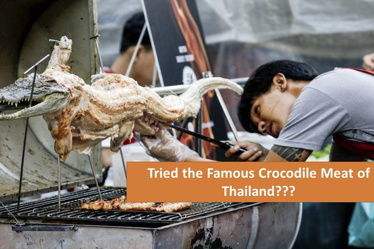 Trying eating grilled crocodile meat in a Thailand restaurant