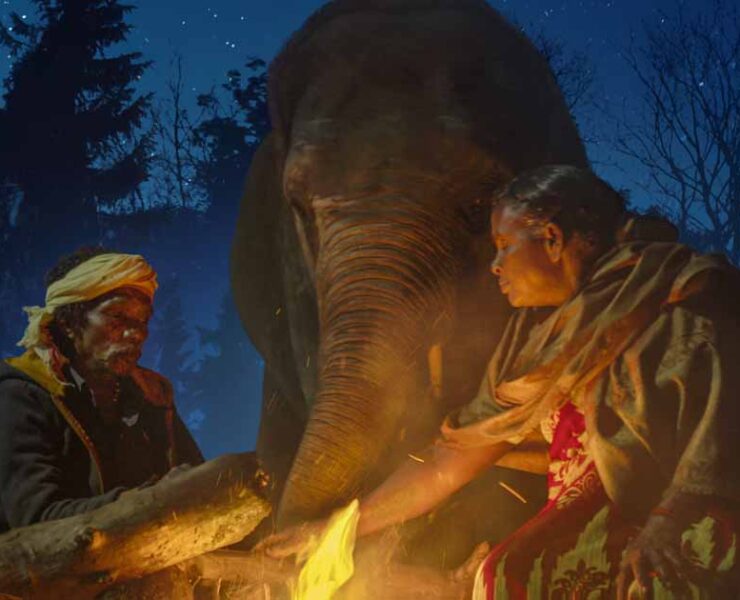 The Elephant Whisperer Wins Short Film Oscars