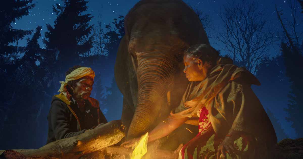 The Elephant Whisperer Wins Short Film Oscars