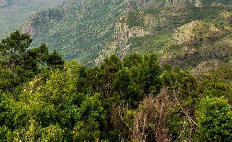 Hill Stations of South India An Idyllic Summer Retreat