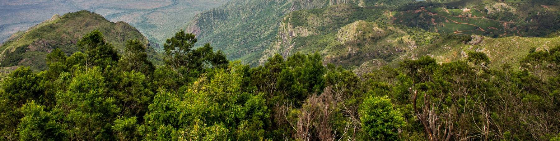 Hill Stations of South India An Idyllic Summer Retreat