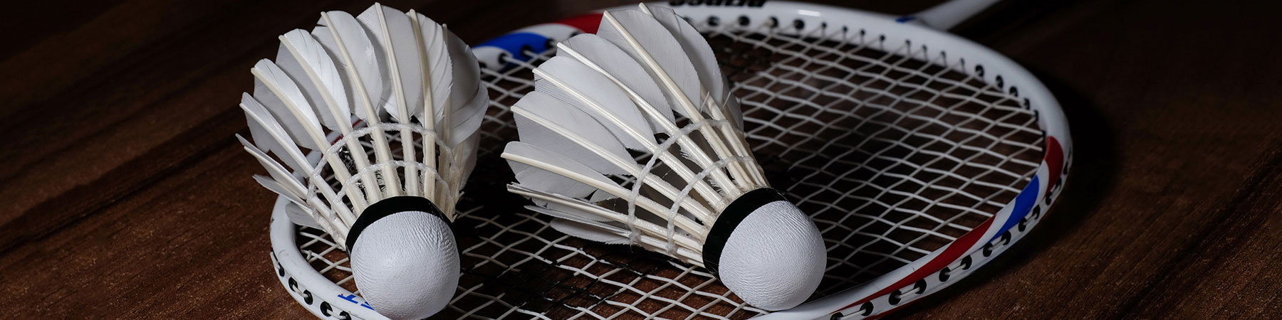 VHP Badminton Masters 2023 Tournament