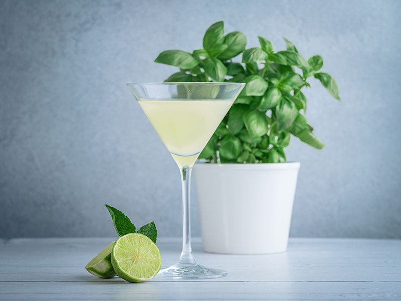 Thai Basil Gimlet, a cocktail made with gin, lime juice, and Thai basil
