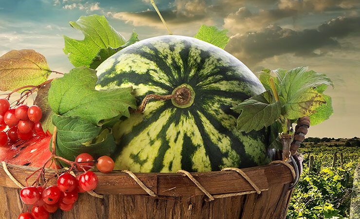 Beat the Scorching Heat with Exotic Thai Fruits