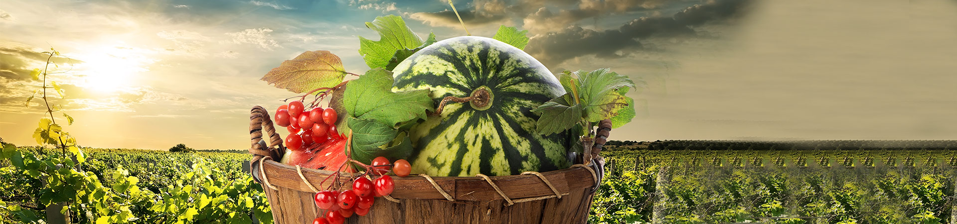 Beat the Scorching Heat with Exotic Thai Fruits