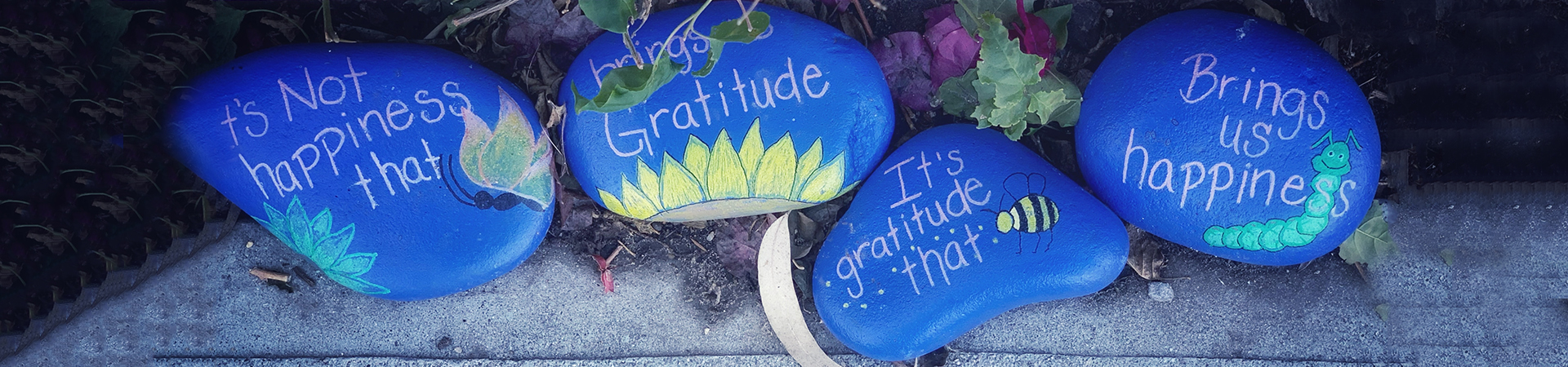 Tap into the Power of Gratitude Journalling