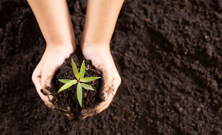 World Environment Day 2023: Nurturing Our Planet for a Sustainable Future