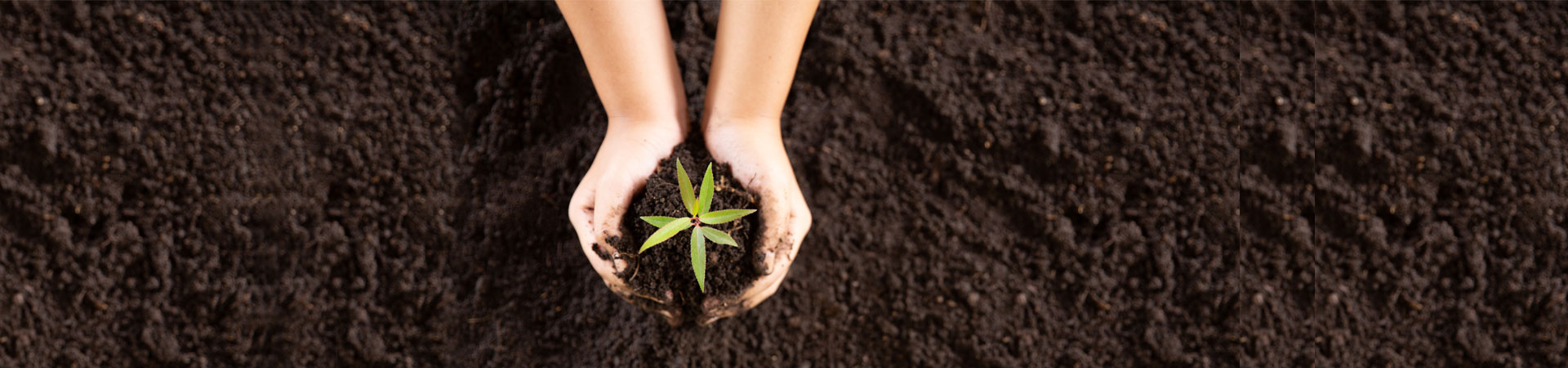 World Environment Day 2023: Nurturing Our Planet for a Sustainable Future