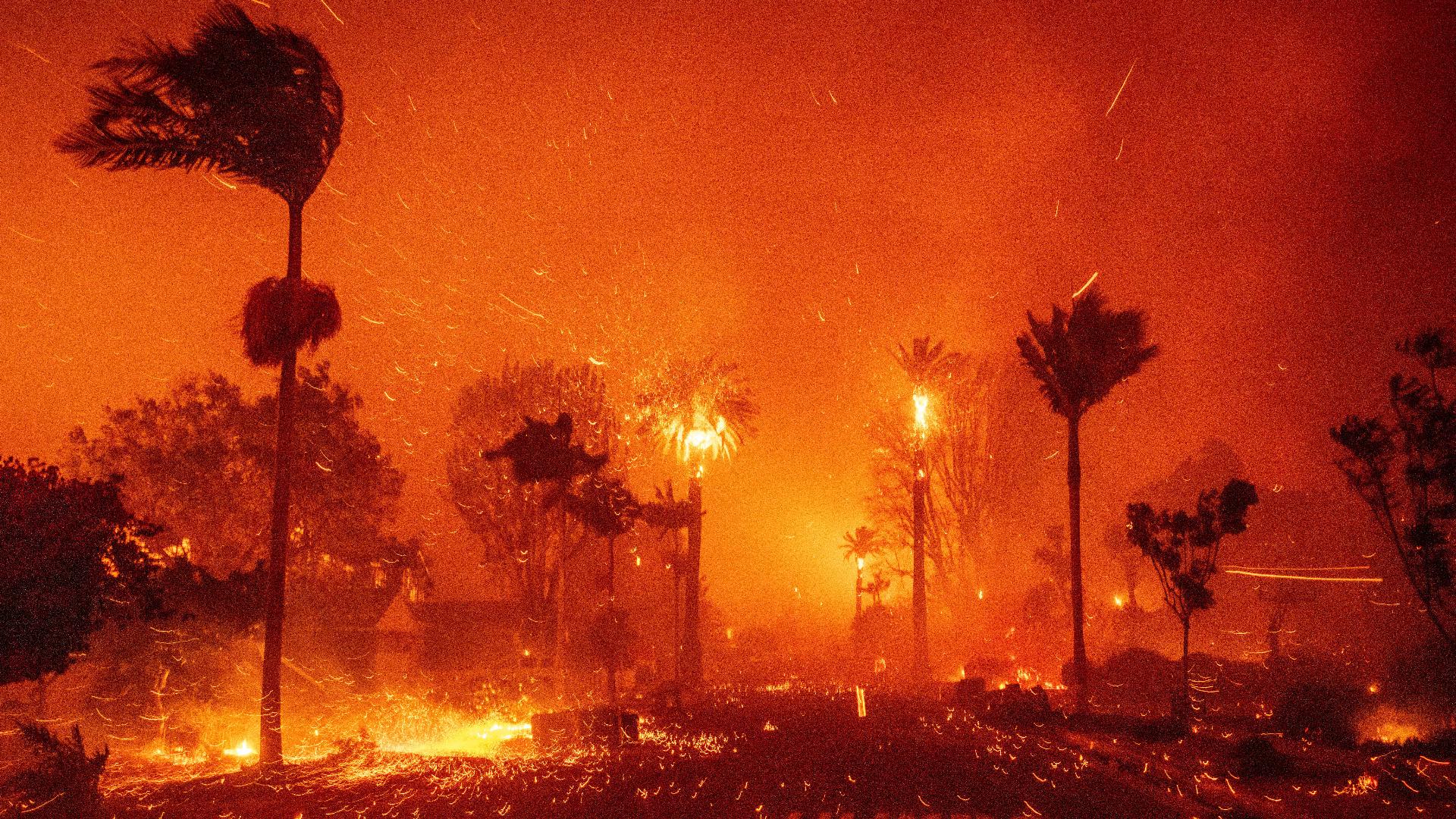 Los Angeles wildfires