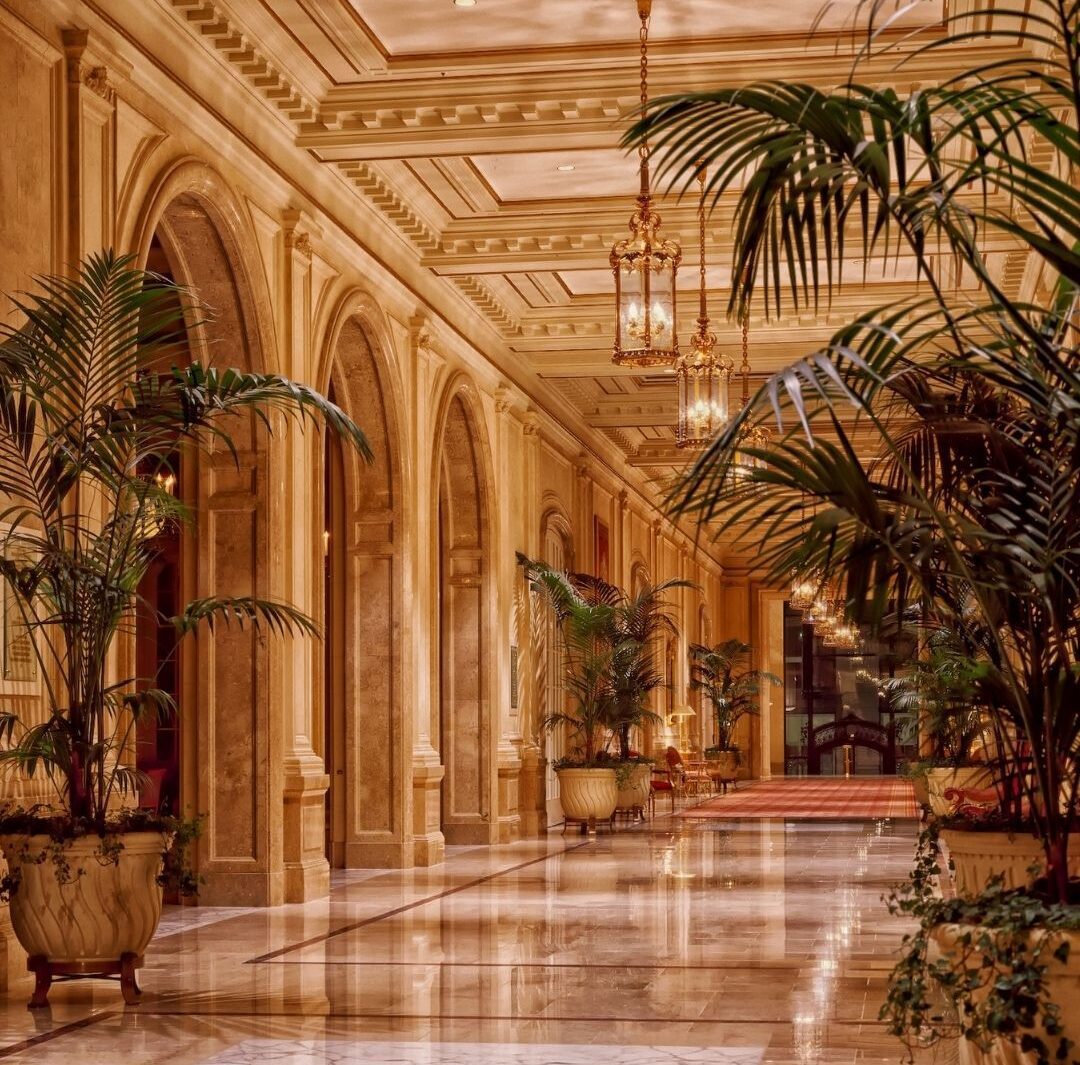 Elite Travel Scene